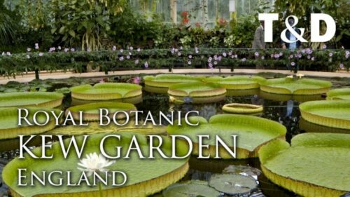 Read more about the article Exploring the Royal Botanic Gardens in London