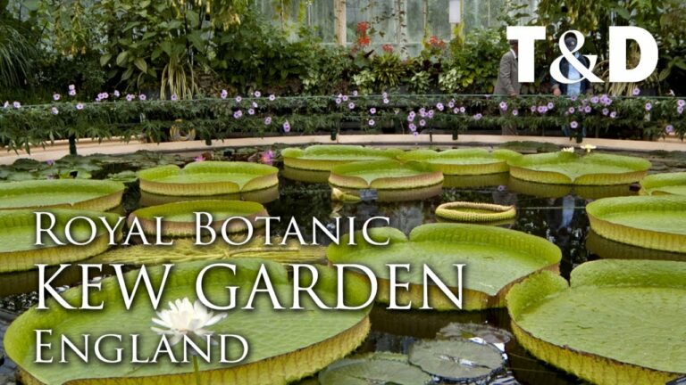 Exploring the Royal Botanic Gardens in London