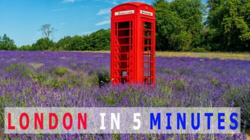 Read more about the article 5 Stunning Lavender Fields to Visit Near London