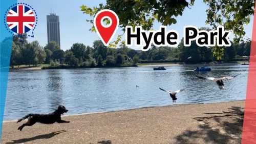 Read more about the article Discovering Hyde Park through Walking Trails