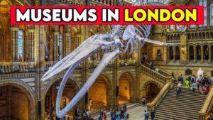 Read more about the article Discover the Magic: A Guide to London’s Must-Visit Museums